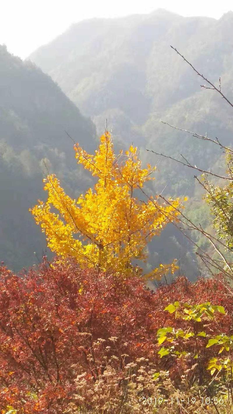5EA9B598-37C5-4625-A44F-46B2FCBBBD24