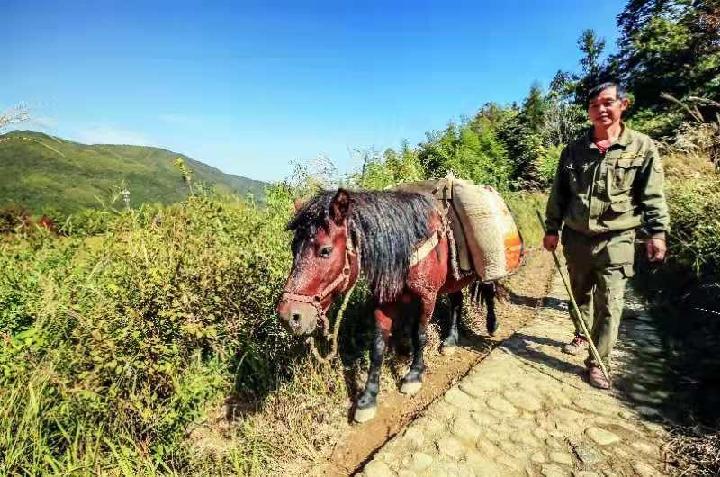 红军地下交通站‖整理:姚威（图4）