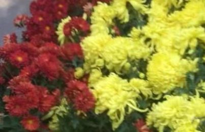 8367DD5E-0538-43F8-AC99-43C084647DB8