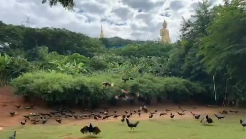 Screenshot_20191121_204631