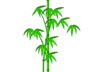 timg-1116