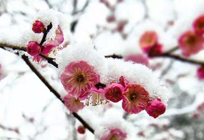 96E9008B-9250-454C-B375-EAD6A51409FA
