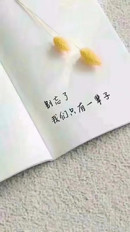 mmexport1574495418617