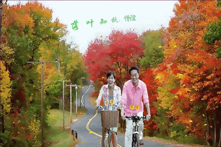 091CBFF2-A562-434B-85DB-9D5FCA1F7697