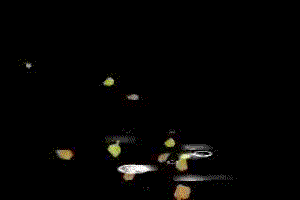 u_3729303961_4153041706&fm_26&gp_0