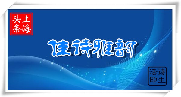 mmexport1574844974536