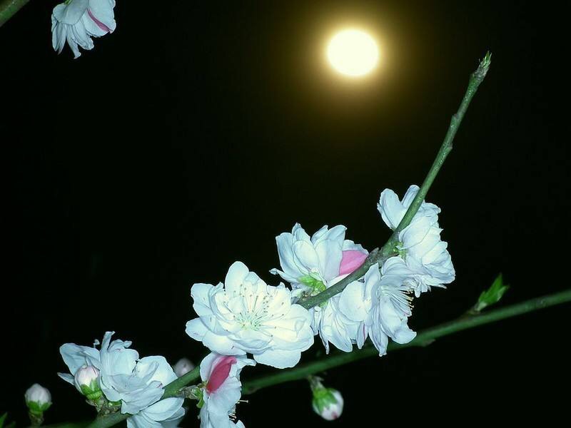 9C8B24FA-3F77-46F5-ABCA-2CC9E0B1A835