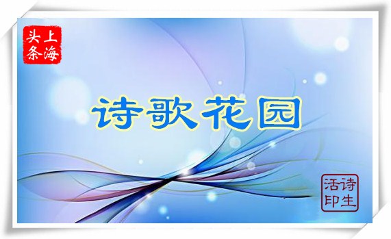 mmexport1574844954232