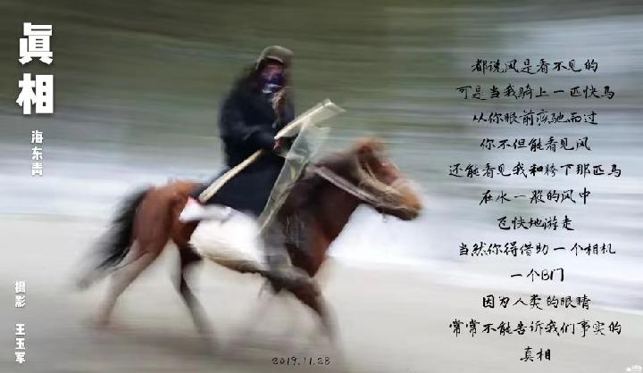 海东青现代诗讲学班专栏:真相 作者:海东青.诗僧