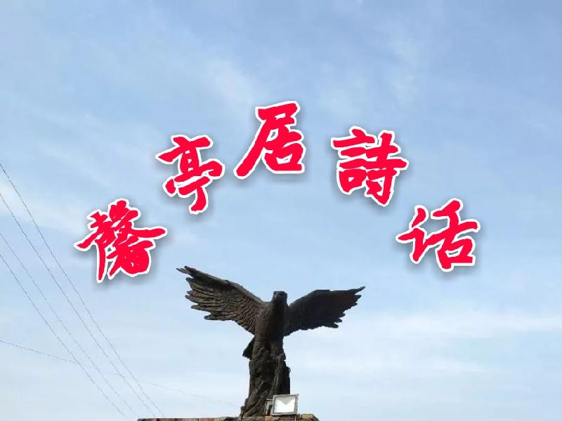 mmexport1574335311825_mh1575207250927
