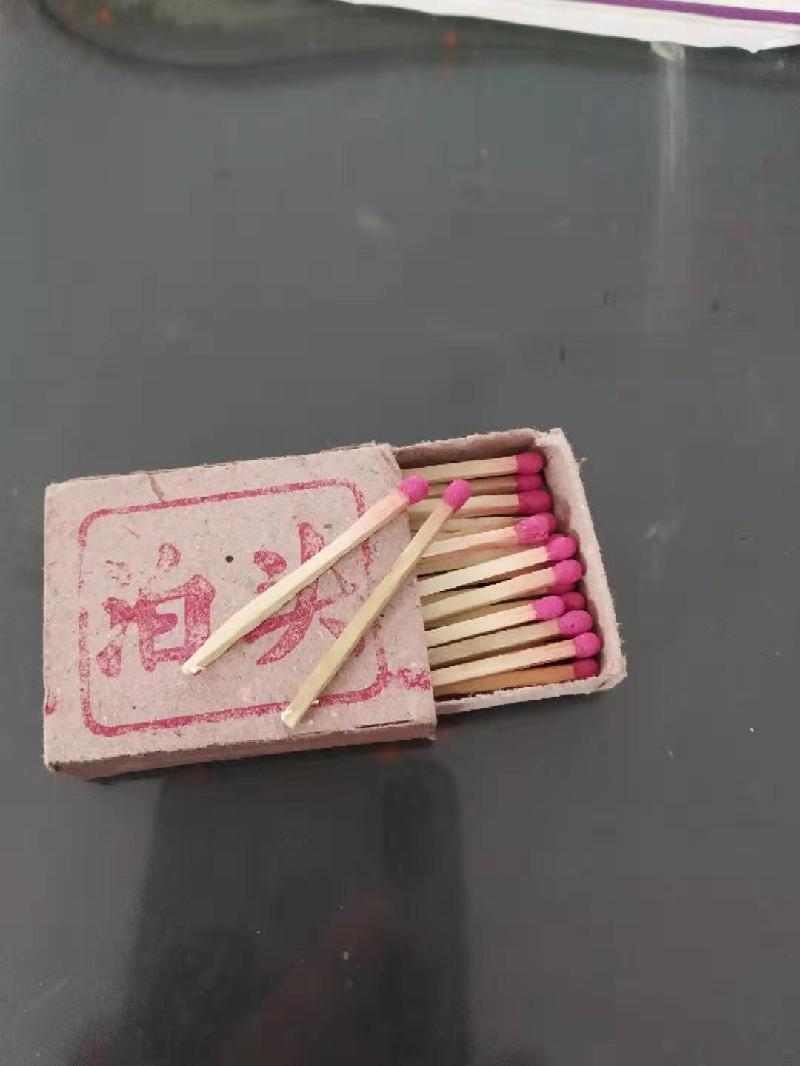 BAC32F00-F5DE-4F5E-868F-B6C26281D7C2
