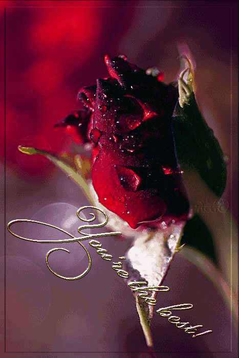 8862BBF0-0BD7-41EE-9779-E932536036D7