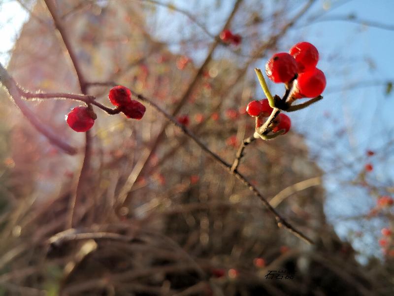 IMG_20191203_201504