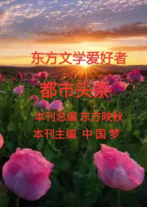 IMG_PITU_20191205_021310