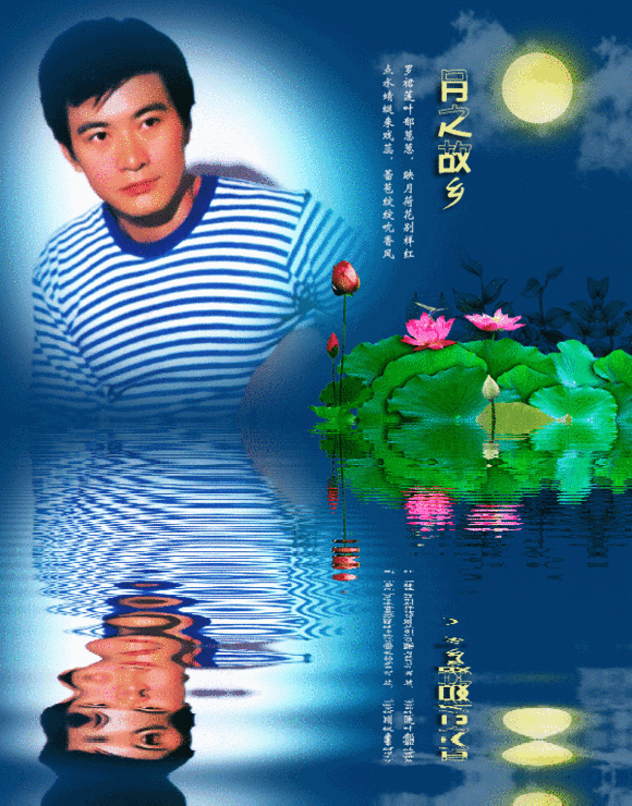 timg-531
