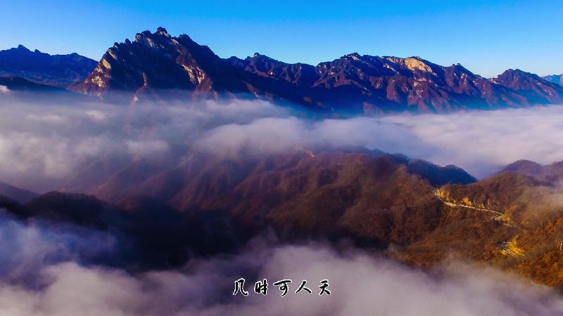Screenshot_20190501-210854