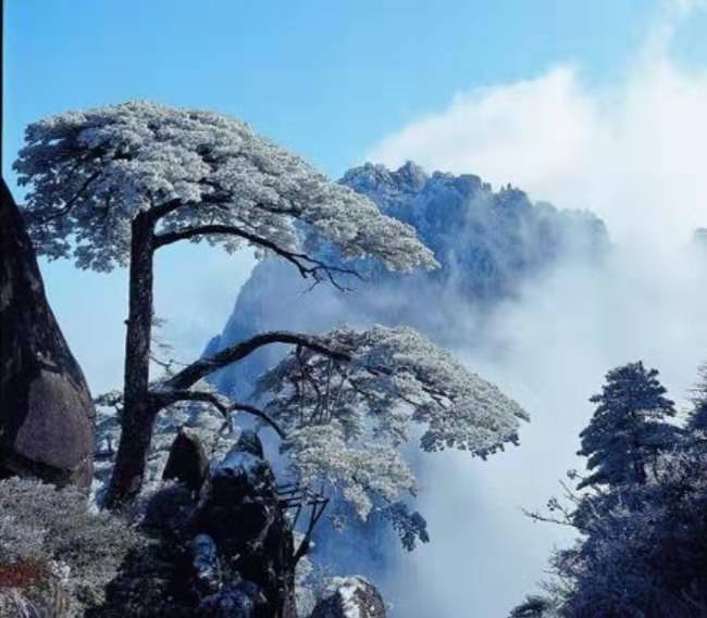 9197E423-CCE5-4B6F-A917-C3C4CB596079
