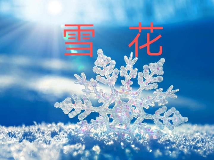 雪花‖作者:何春阳