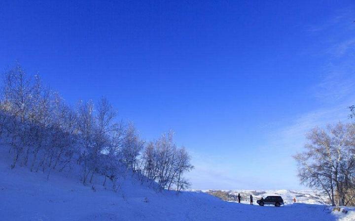 雪花‖作者:何春阳（图2）