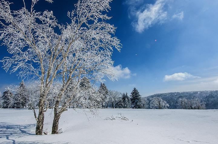 雪花‖作者:何春阳（图4）