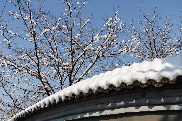 雪花‖作者:何春阳（图3）