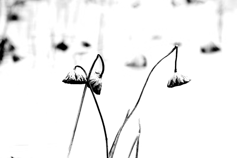 BE184456-52F6-48B1-B579-A685013029E7