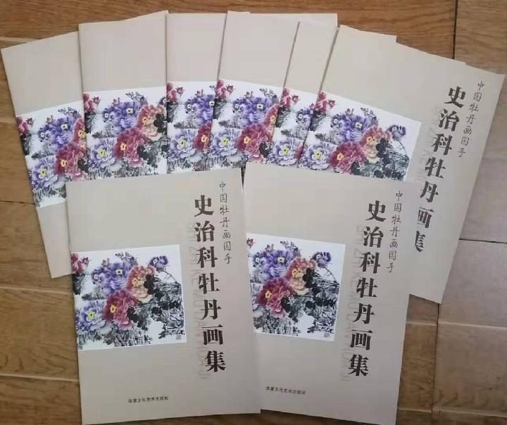 伊川文联付新艳副主席率领书画群英赴史治科家 共同赋诗九首合影留念(图15)
