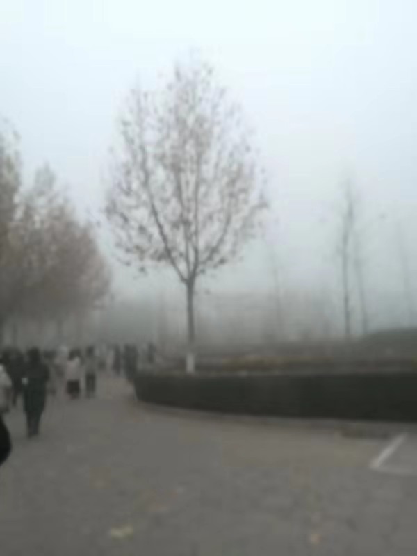 mmexport1575855858480