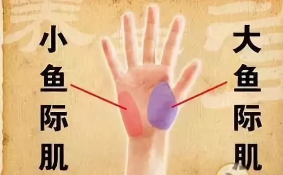 有一个特殊的穴位“感冒穴”,刺激它5分钟,男女老少感冒都管用(图6)