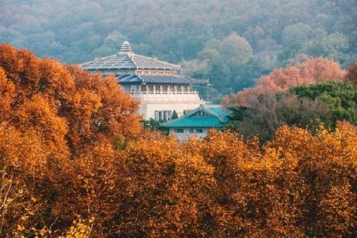 珞珈山的味道-京津沪头条 作者:李好书(图2)