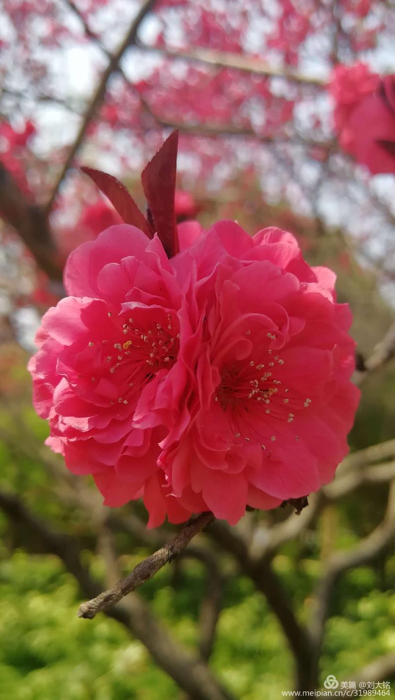 c51e266573404fd5881f826144166e0d
