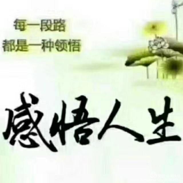 982b69fd1a9e43f6b905ab0dbe15093d