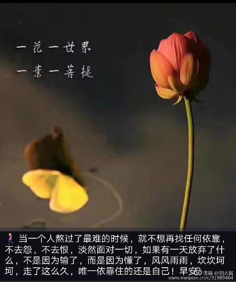 3b4f09648be7418fb65d6c598f15d5a0