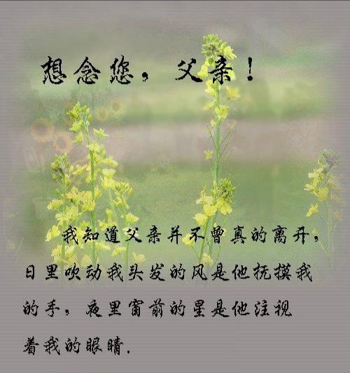 IMG_20191221_061504