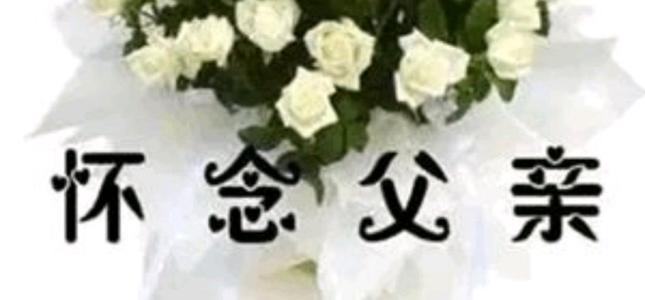 u_244158260_4005341242&fm_15&gp_0