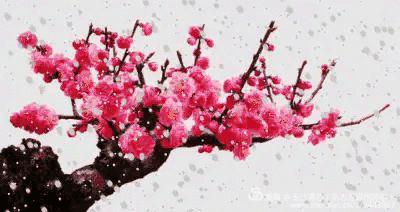 9af6c01d4ec5477d9b2092334c8e45be