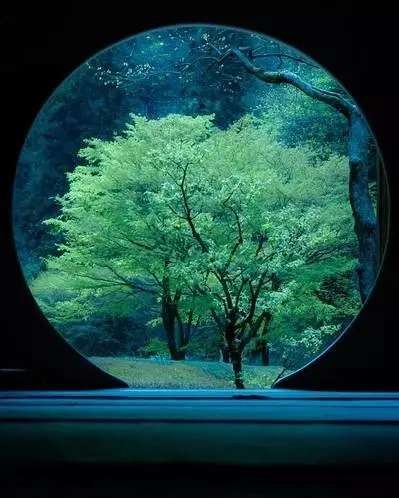 董洪涛:肝郁脾虚是什么病?(图7)