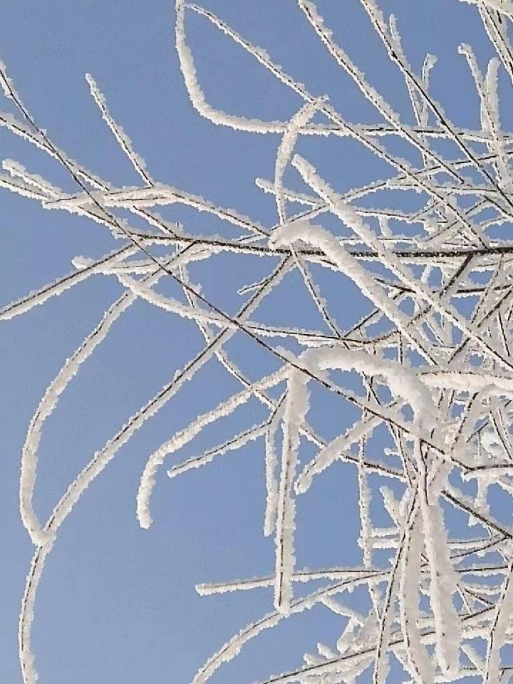 快乐的印痕-京津沪头条 文/雪松 诗韵（吉林）（图5）