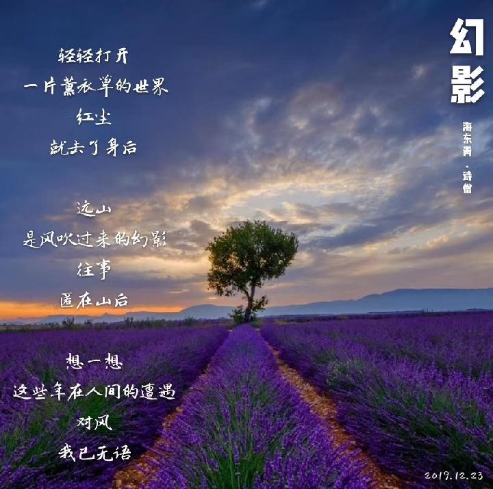 海东青现代诗讲学班专栏:幻影-京津沪头条 作者:海东青.诗僧