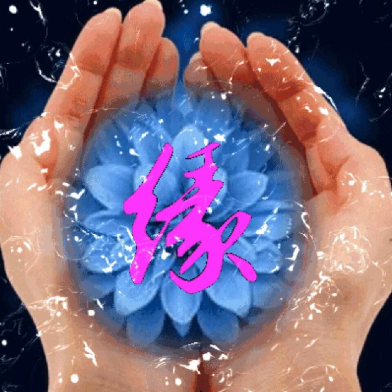D4D963F1-E3E1-4580-8D91-E50058C2CC88