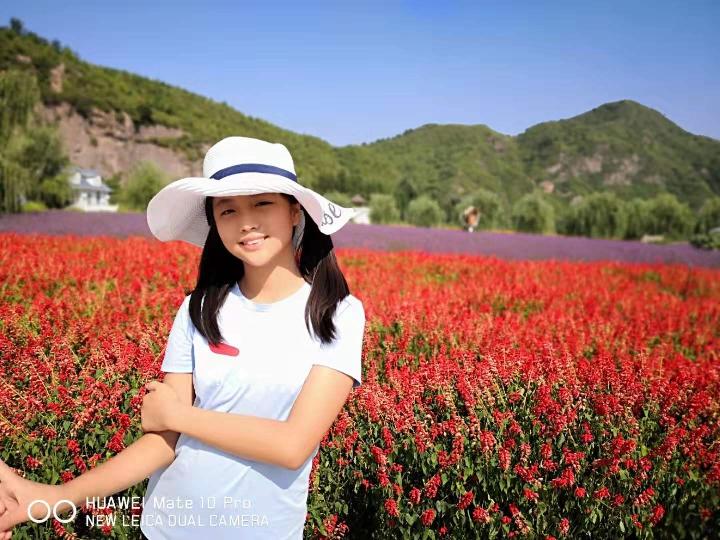 海东青现代诗讲学班专栏:贪婪的灰狼-京津沪头条 作者:马恩睿（图2）