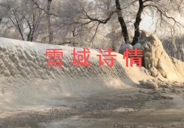 雪域诗情‖作者:刘大辉