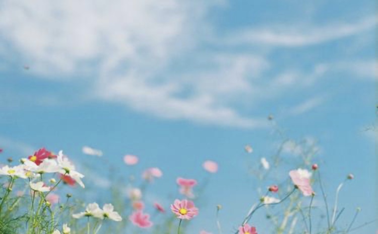 E981B32B-51D8-4143-9427-E920046BCD30