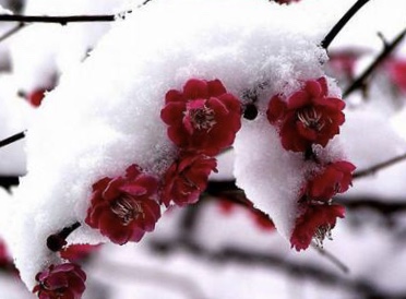 2B9A4B9F-5B0E-4311-A639-70A8E32DB600