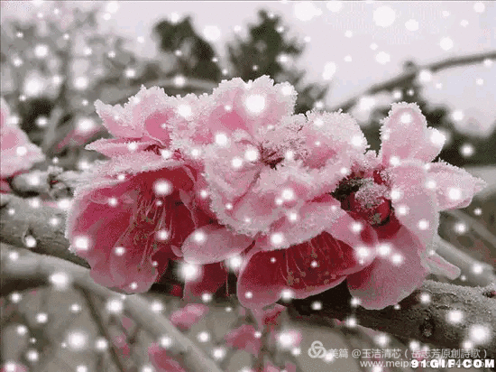 55cca66e245c4298b33d111db28a6632