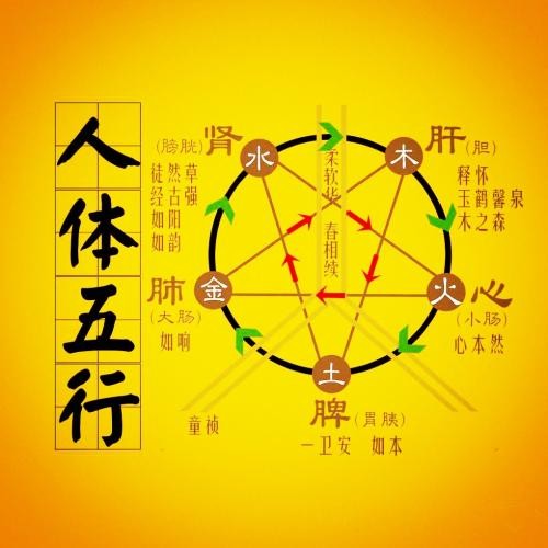 一分钟穴位大全+这张表已遭到万人疯抢!史上最全穴位合集,1分钟学会如何自治!