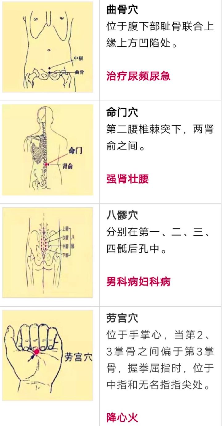 一分钟穴位大全+这张表已遭到万人疯抢!史上最全穴位合集,1分钟学会如何自治!(图6)