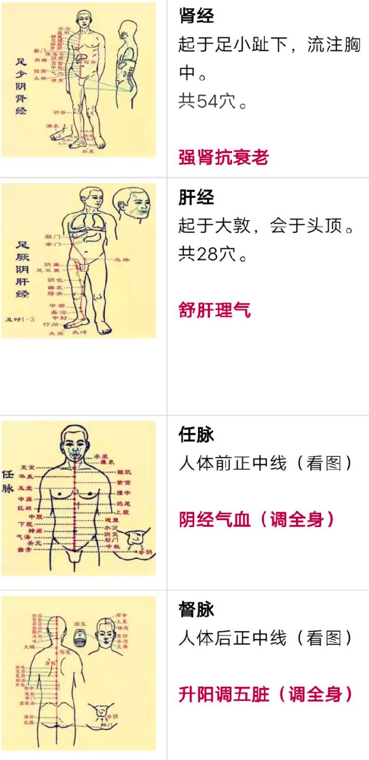 一分钟穴位大全+这张表已遭到万人疯抢!史上最全穴位合集,1分钟学会如何自治!(图13)