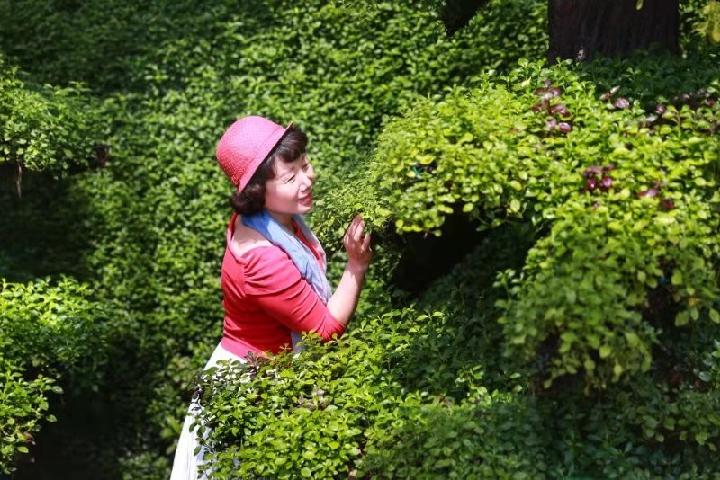 【爱到白头偕老】珍珠婚•一丈之夫‖作者:张桂萍(图13)