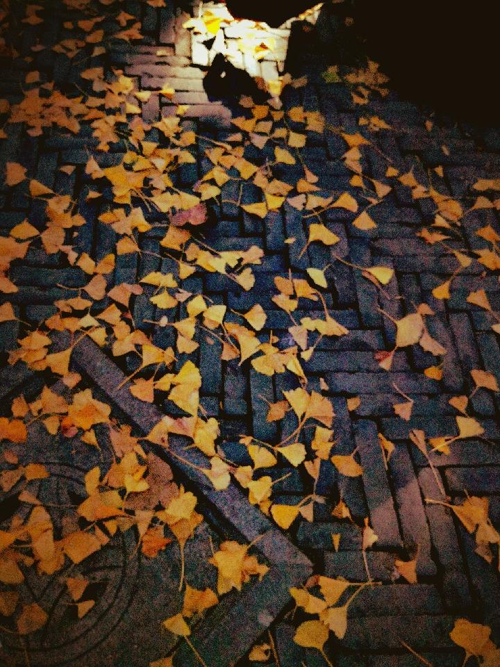 《又一年》